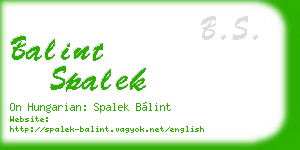 balint spalek business card